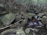 DSC06994