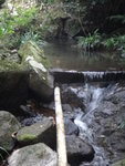 有儲水池, 又有水管, 係咪就到哩
DSC06996