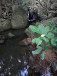 DSC07000
