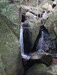 DSC07002