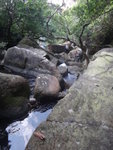 下降老鼠田坑
DSC07014