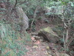 接走八仙嶺自然教育徑, 經一處左右兩大石似是新塌下的
DSC00652