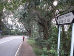 原來荃錦公路叫"Route Twisk"
DSC01548