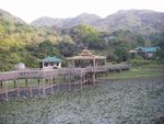 龍仔悟園
IMGP2726