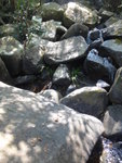 上溯燕岩溪, 石面有路標, 無有錯
DSC01632
