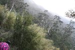 TWN00224