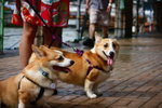 IMG_1155
