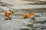 IMG_1753