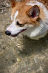 IMG_2421