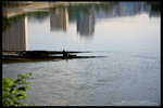 IMG_3110