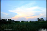 IMG_3211