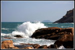IMG_4275