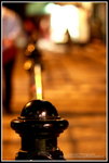 IMG_4507