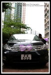 ?? -IMG_6780