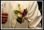 ?? -IMG_6805