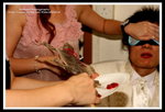 ?? -IMG_6827