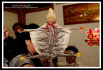 ?? -IMG_6828