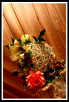 ?? -IMG_6895