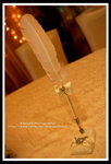 ?? -IMG_6915
