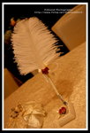 ?? -IMG_6918