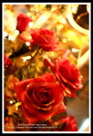?? -IMG_6925