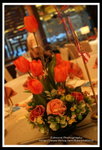 ?? -IMG_6932