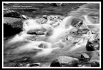 IMG_7895