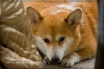 IMG_1008