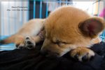 IMG_0009