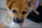 IMG_0029