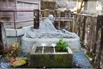 IMG_0316