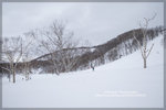 AO7O0019