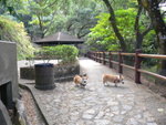 P1060509