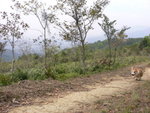 P1060639