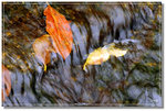 DSC_0459f1s1