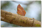 DSC_657a1