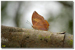 DSC_658a1