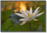 DSC_0115m2