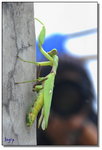 DSC_0205s1