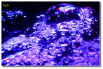 _DSC0480as