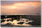 DSC_0025_a3