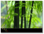 _DSC7026as