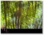 DSC_0255as