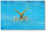 _DSC2198s