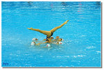 _DSC2199s