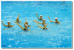 _DSC2219s