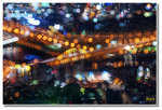 _DSC5384s