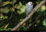 bird_20210405_04s