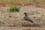 oct_16_13_5