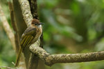 sep_16_13_2